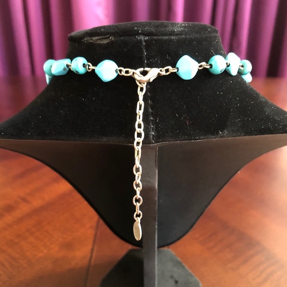 Robert Rose Faux Turquoise Pendant Necklace - Picture 4 of 5